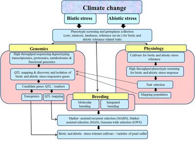 Exploration of Genetic and Genomic Resources for Abiotic and Biotic Stress Tolerance in Pearl Millet